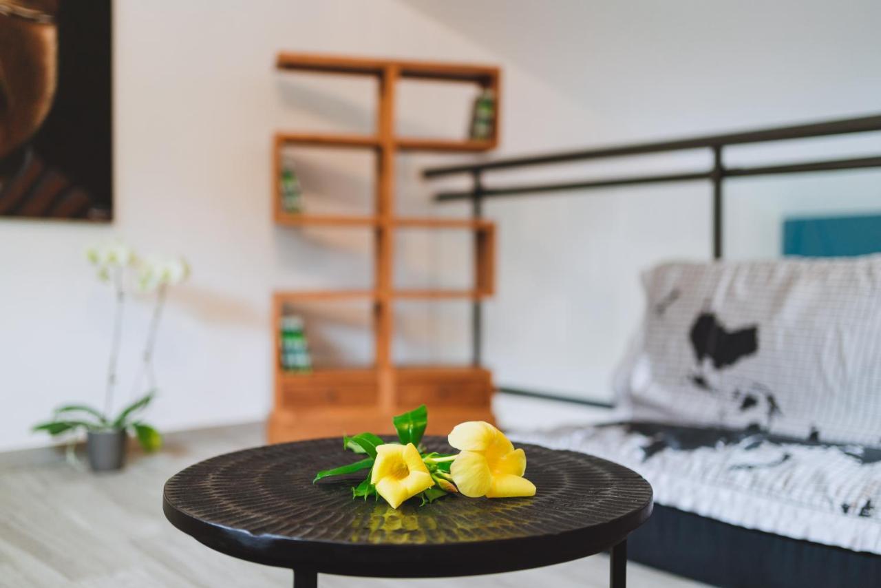 Villa Tamarin 圣皮埃尔 外观 照片